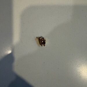 PANDORA Gold Tooth pendant/ charm